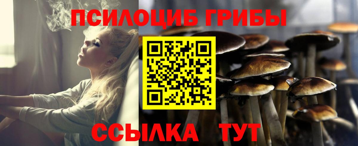 Галлюциногенные грибы MAGIC MUSHROOMS  Вход с VPN  Ставрополь 